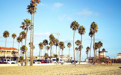 Complete Group Transportation Santa Ana Guide